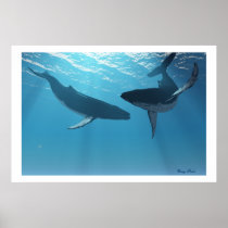 whale, ocean, sea, creature, humpback, sperm, cow, calf, cetacean, orca, animal, beautiful, blue, mammal, concept, conceptual, killer, exploration, free, lonely, life, splash, splashing, swim, tropical, underwater, water, giants, titans, Poster with custom graphic design