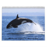 Whales and Dolphins of Monterey Bay Calendars