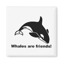 Whales Are Friends Refrigerator Magnets