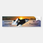 Whales at sunset bumper stickers