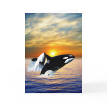 Whales at sunset card