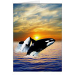 Whales at sunset card