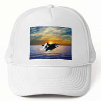 Whales at sunset hats