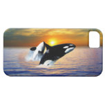 Whales at sunset iPhone 5 cases