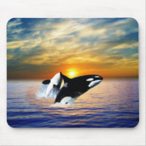 Whales at sunset mouse pads