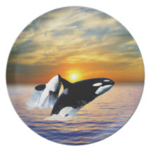 Whales at sunset party plates
