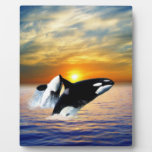 Whales at sunset plaques