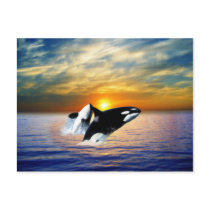 Whales at sunset postcard