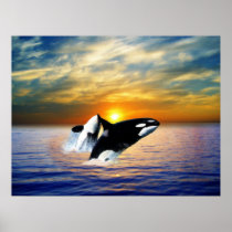 Whales at sunset posters