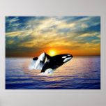 Whales at sunset posters