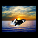 Whales at sunset posters