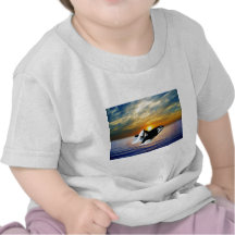 Whales at sunset tee shirts