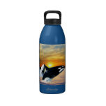 Whales at sunset water bottle