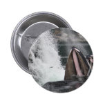 whales button