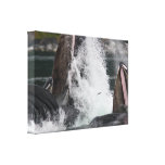 whales canvas prints