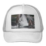 whales hat