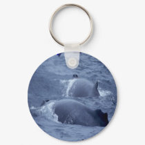 whales keychains by soccerisalive whales keychains