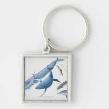 Whales Keychain