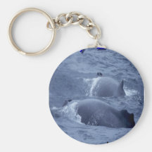 whales keychains
