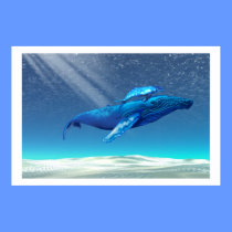WHALES  PRINT posters
