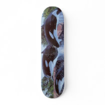 WHALES SKATE BOARD