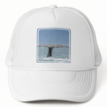 Whale's Tail  Baseball Hat