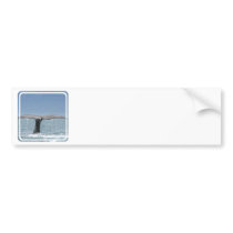 Whale's Tail  Bumper Sticker