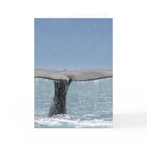 Whale's Tail  Greeting Card
