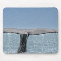 Whale's Tail  Mouse Pad
