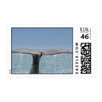 Whale's Tail Postage Stamp