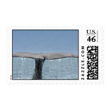 Whale's Tail Postage Stamp