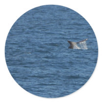 Whales Tails Ocean stickers