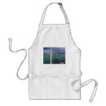 Whangerei Waters Apron