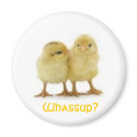 Whassup CHICK? magnets by trish1968 Whassup CHICK? magnets