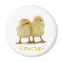 Whassup CHICK? magnets by trish1968 Whassup CHICK? magnets