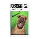 Whassup? postage