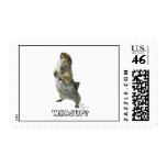 Whasup Squirrel Stamp