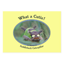 What A Cutie Bug Business Card Templates