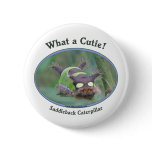 What A Cutie Bug Pin