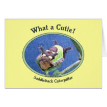What A Cutie Bug Greeting Cards