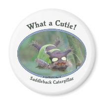 What A Cutie Bug Fridge Magnet