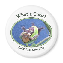 What A Cutie Bug Refrigerator Magnet