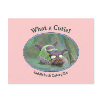 What A Cutie Bug Postcards