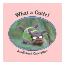 What A Cutie Bug Print