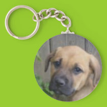 "What a cutie!" keychain keychains