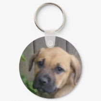 "What a cutie!" keychain
