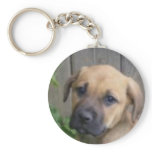 "What a cutie!" keychain