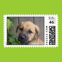 What a cutie! postage postage