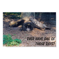 What A Day! - poster posters by Horseshoes3 What A Day! - poster posters