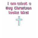 What a Gay Christian Looks Like t-shirts